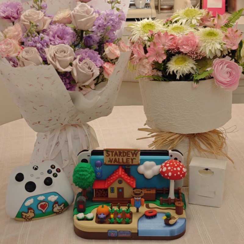 Switch Dock Stardew Valley Far - Gaming Consoles 评论和价格